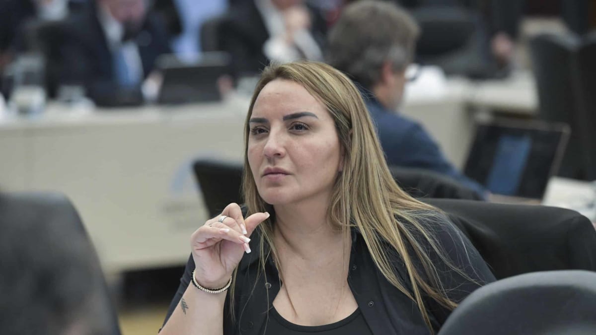 Freites cruzó a Milei por las dificultades económicas de las familias