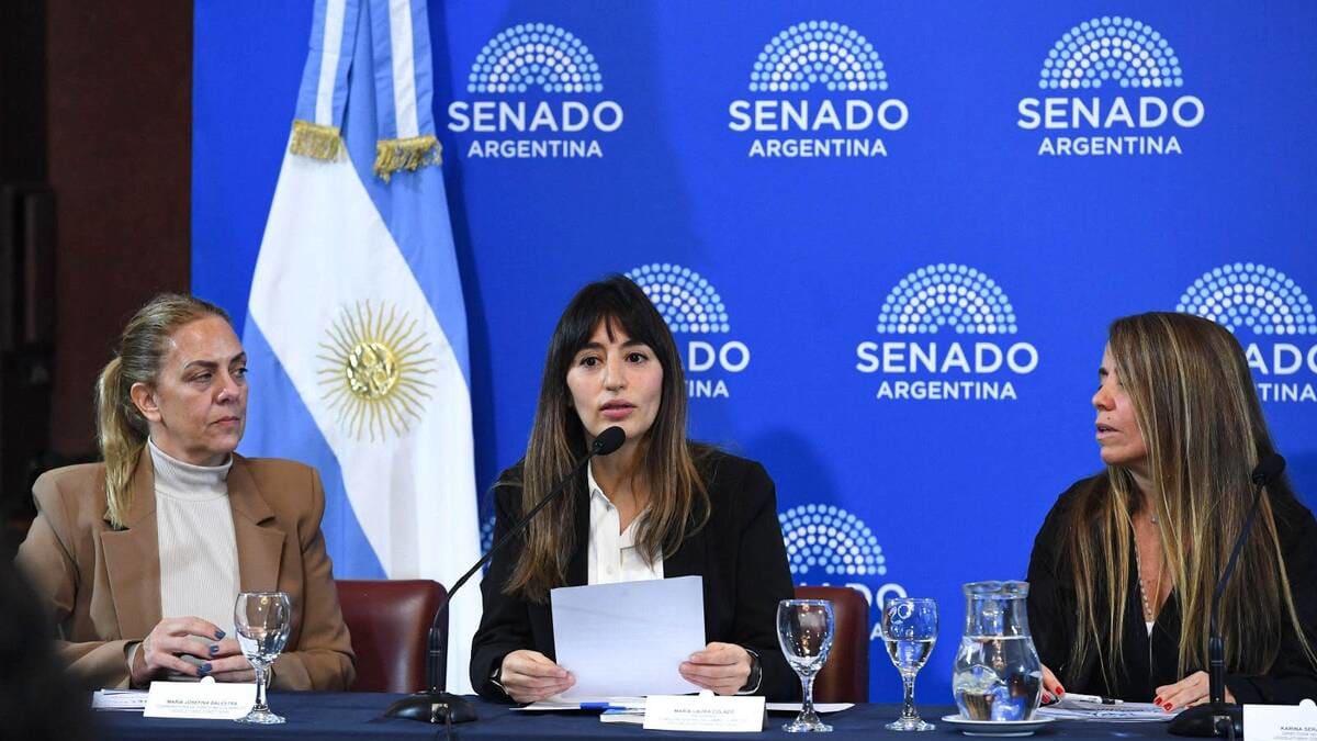 María Laura Colazo fue designada Presidenta de la Comisión Federal de Cambio Climático