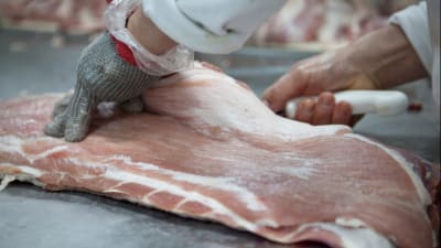 "Uno de cada cuatro kilos de carne de cerdo que se consumen en Río Grande es de producción local"