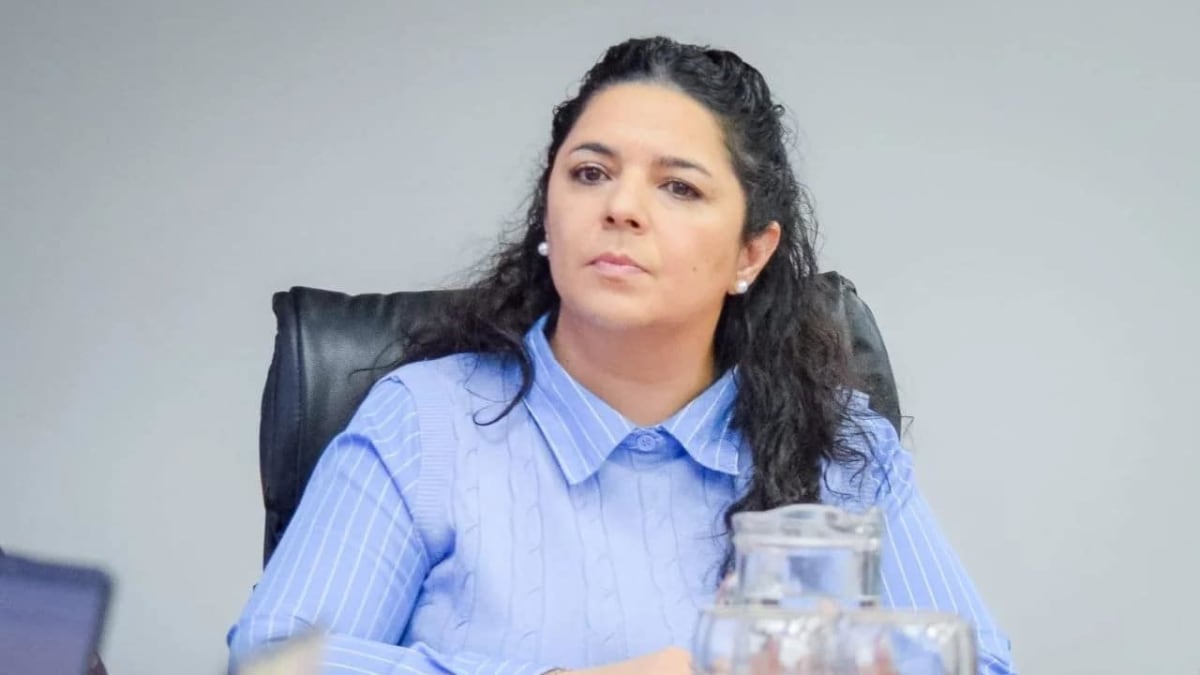 Garay pone en marcha la planificación de Ushuaia para 2027