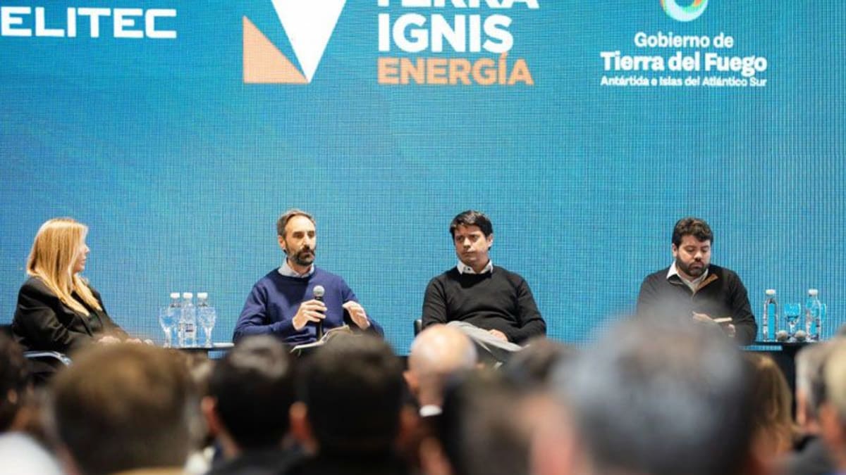 Nace Terra Ignis y reactiva pozos cedidos por YPF