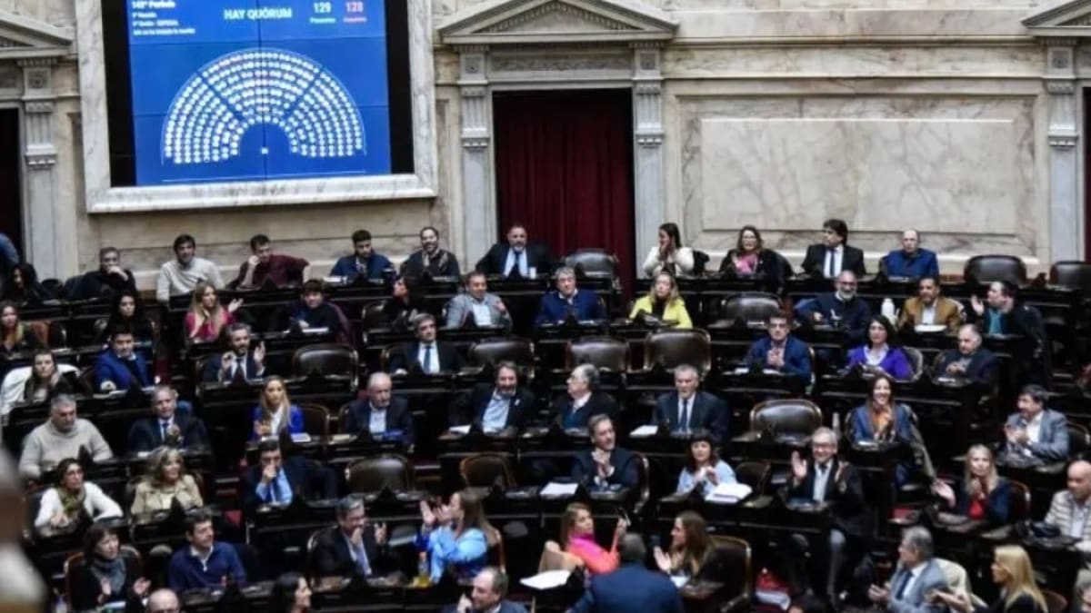 Pauli y Yutrovic fueron los diputados fueguinos que menos hablaron en el recinto durante 2024