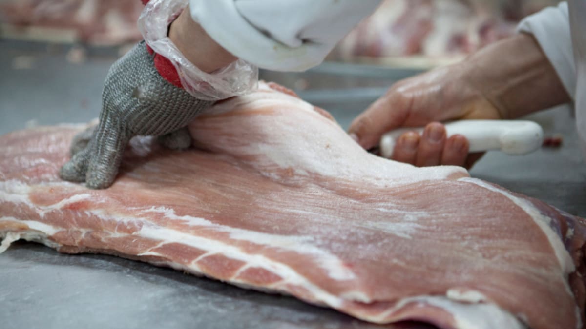 "Uno de cada cuatro kilos de carne de cerdo que se consumen en Río Grande es de producción local"