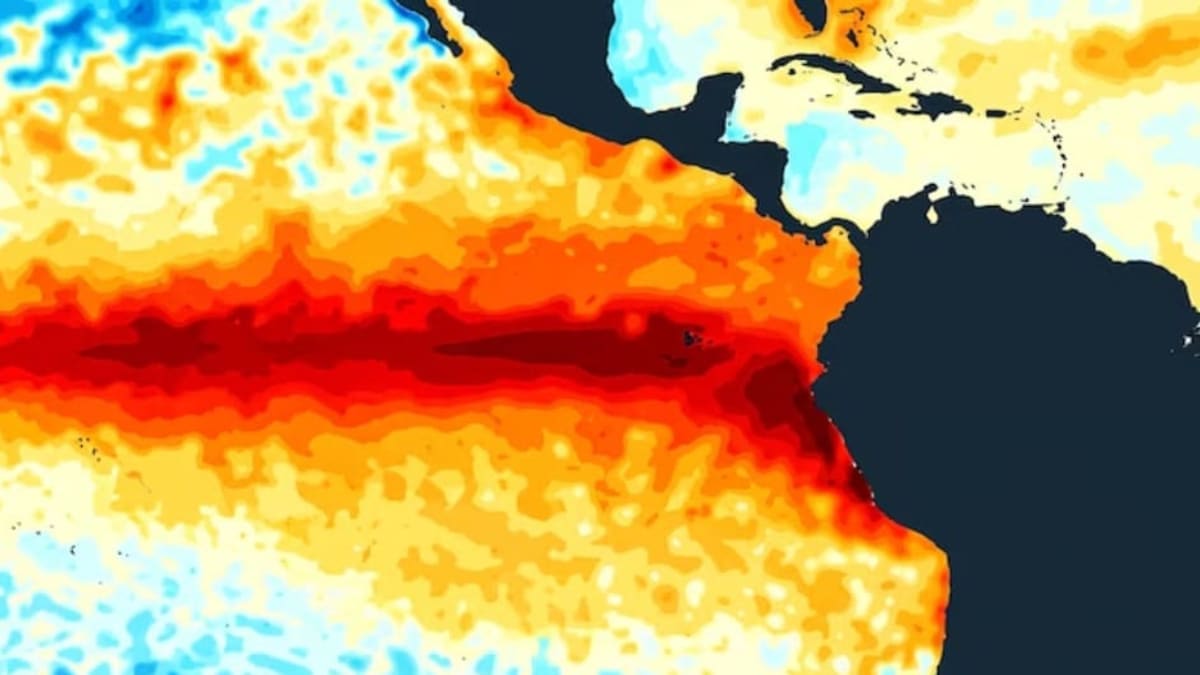 La ONU alerta sobre consecuencias del cambio climático y el fenómeno El Niño