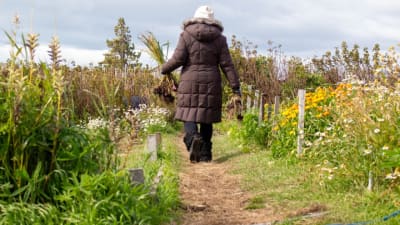 Producen alimentos, pero no tienen títulos: 100 familias de la Margen Sur enfrentan demandas por sus tierras