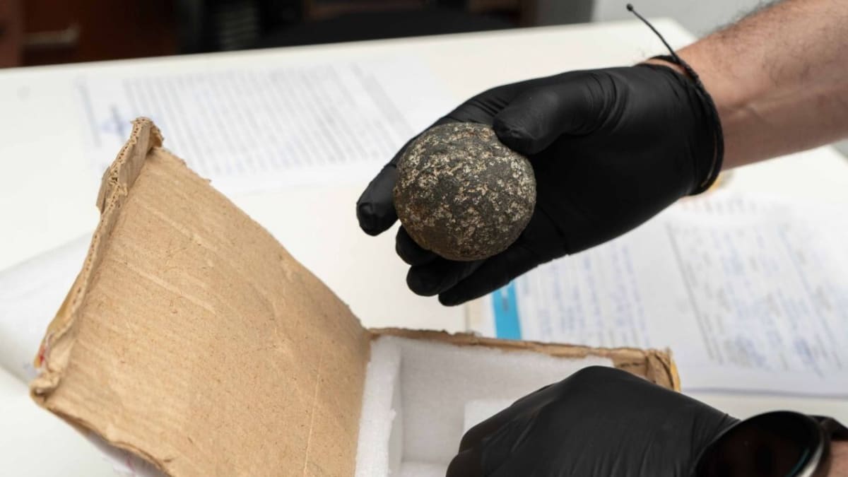 El Museo del Fin del Mundo recibió un objeto arqueológico recuperado por la Justicia Federal