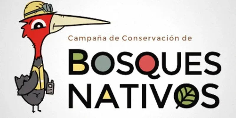 diseno_bosques3