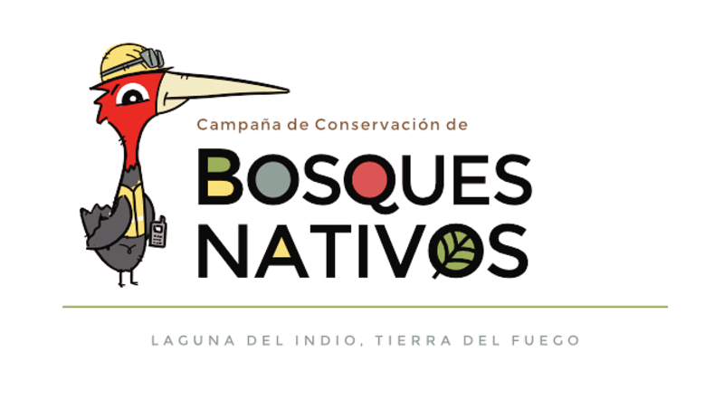 logo_2