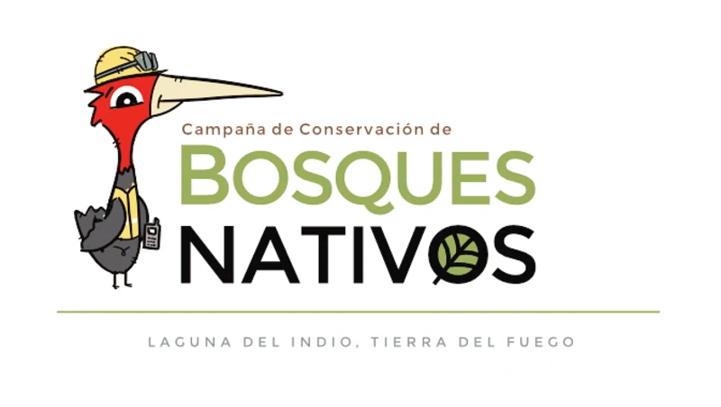 logo_1