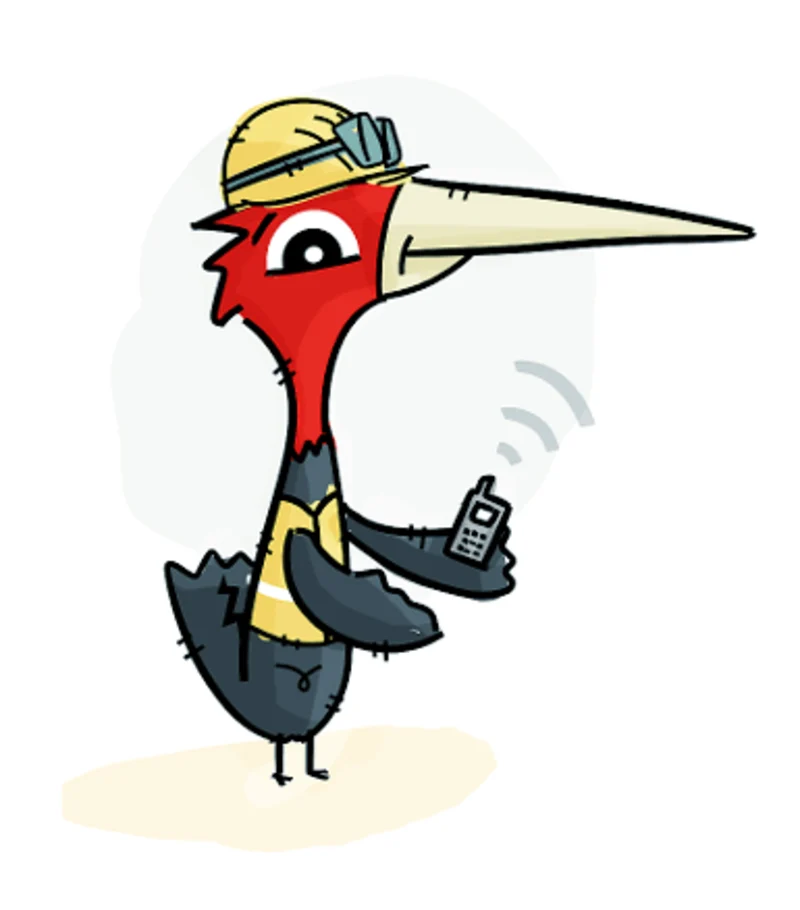 pajaro_6