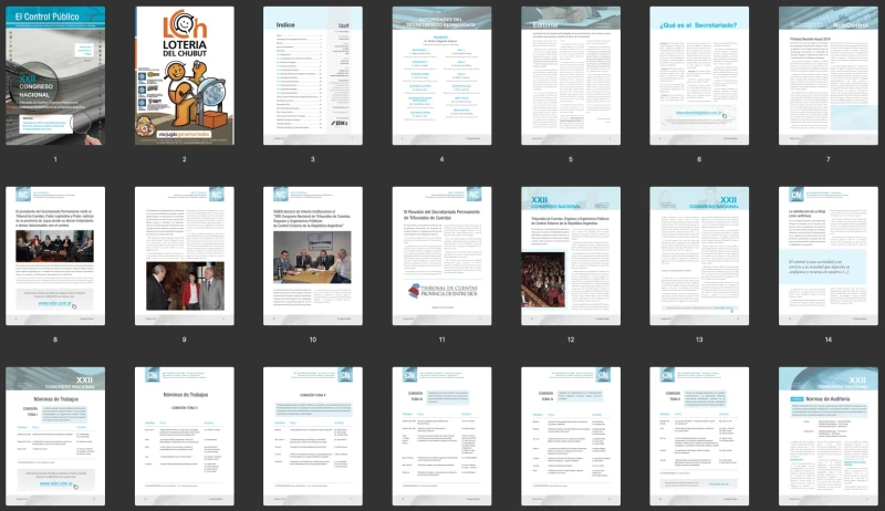 Revista Control Publico