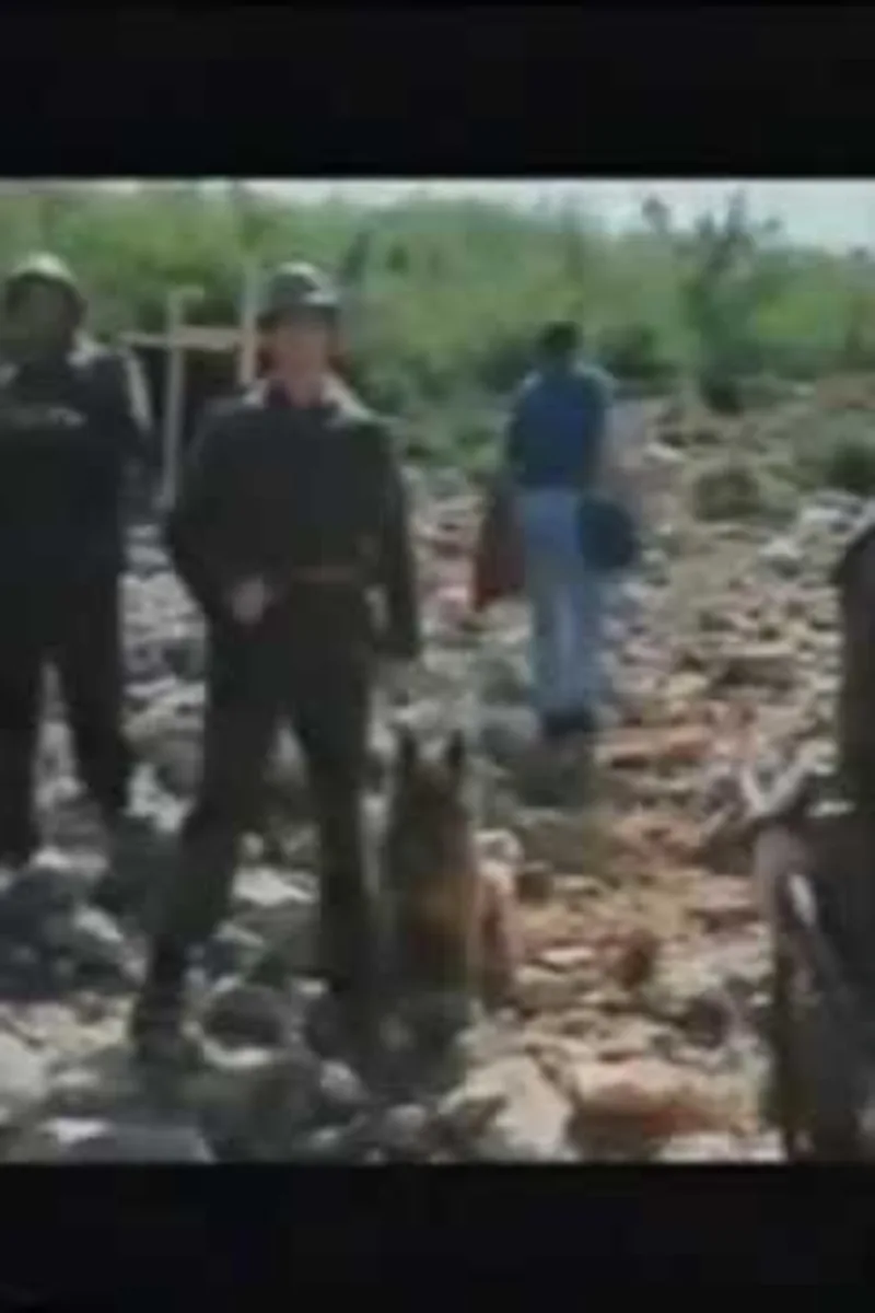 Gospa, El milagro de Medjugorje - 1994