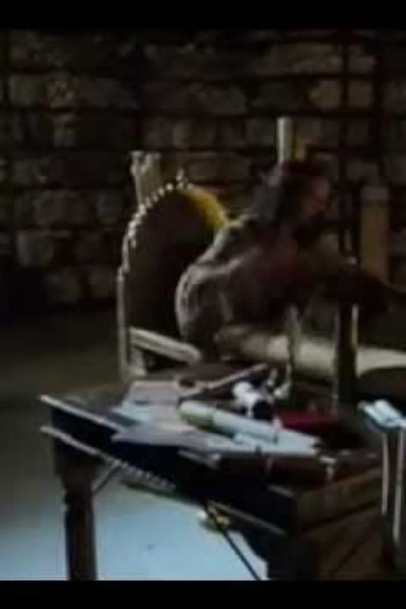 La Pelicula Mas Bonita De Ester