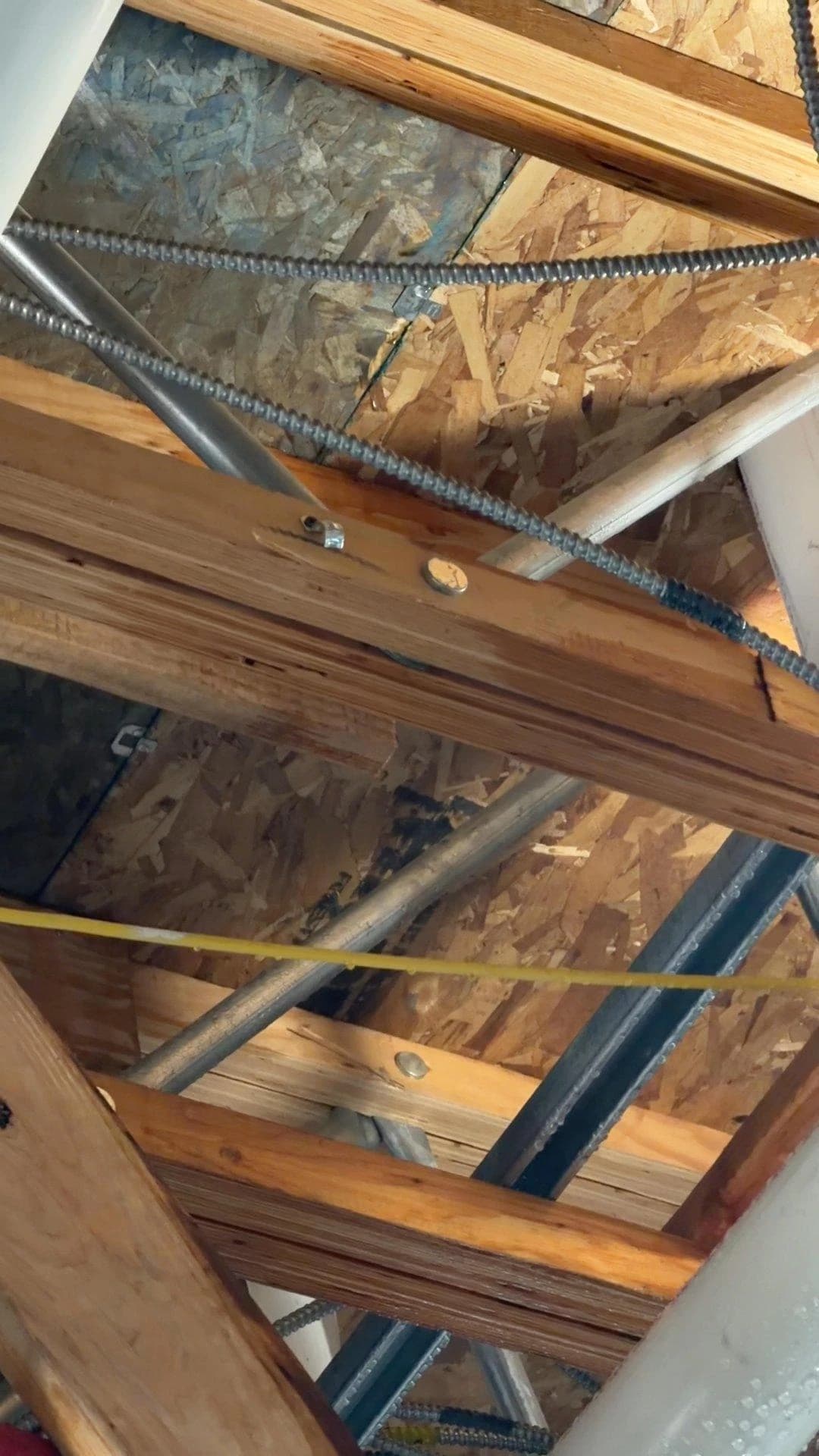 Structural roof trusses above the restaurant framing