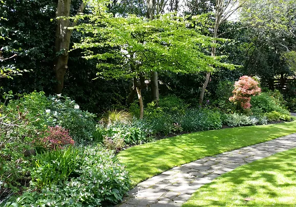 image of a garden in Hampstead