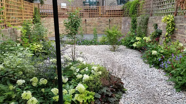 image of a garden before a makeover
