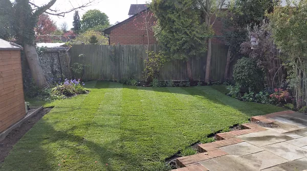 image of a garden before a makeover