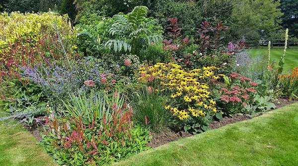 image of a garden before a makeover
