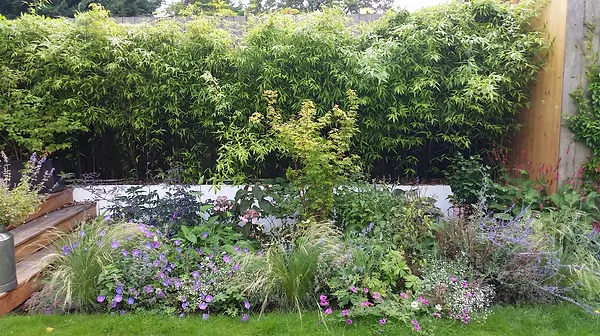 image of a garden before a makeover