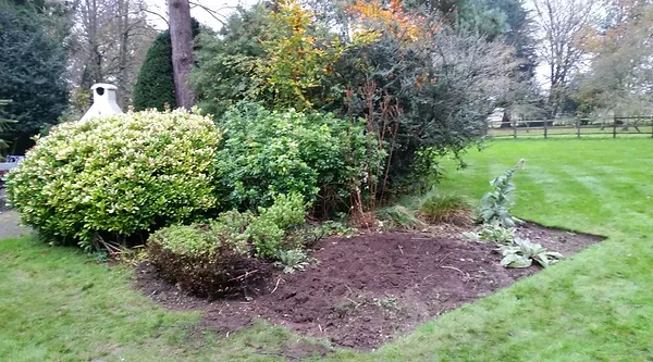 image of a garden after a makeover