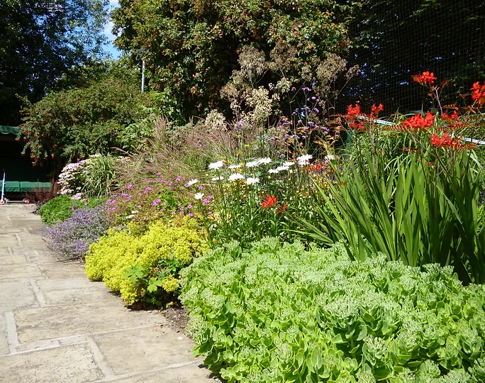 garden border with red flowers