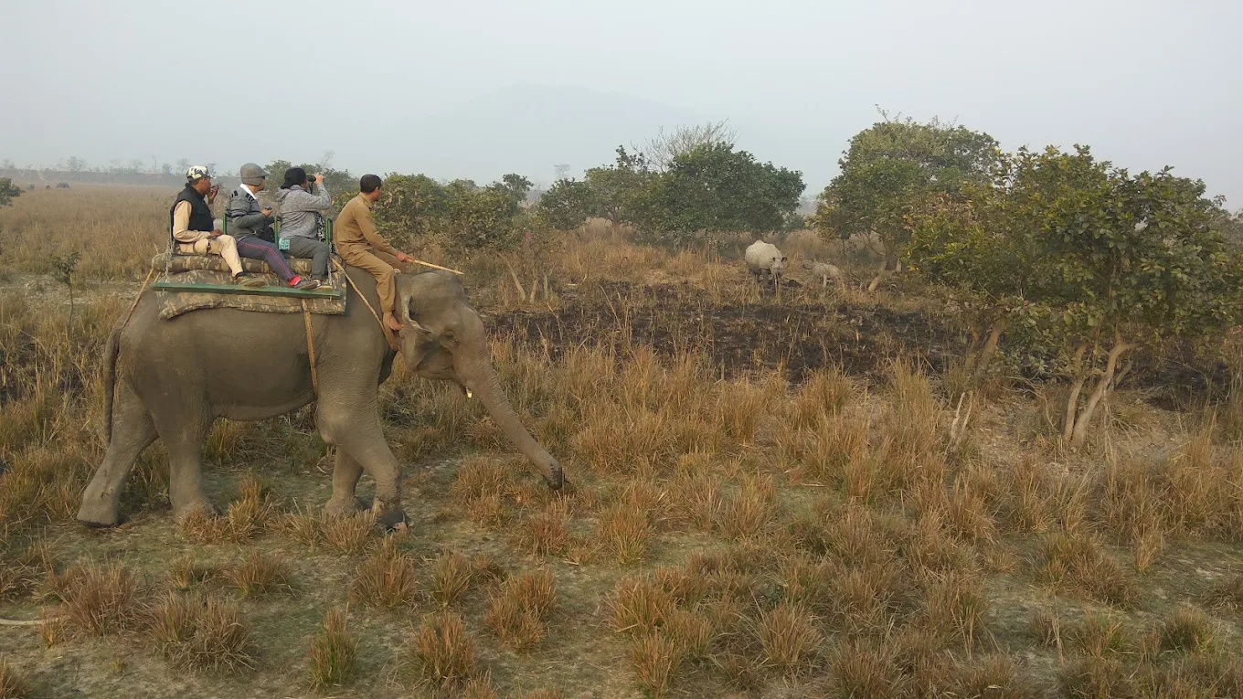 Pobitora Village Eco Camp moment