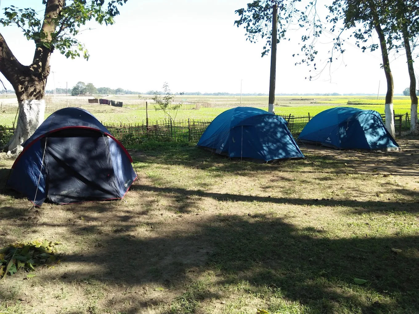 Pobitora Village Eco Camp moment