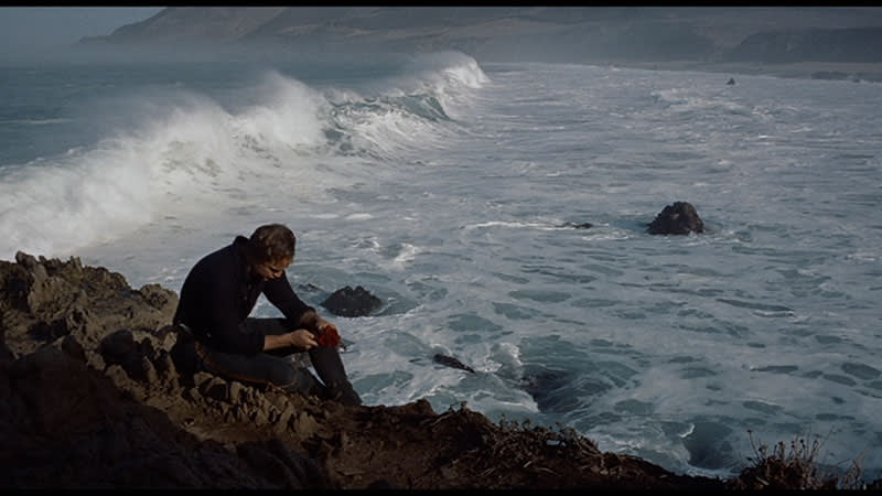 Hamlet by the Sea - Man sitting on rock with ocean waves and white water in the background