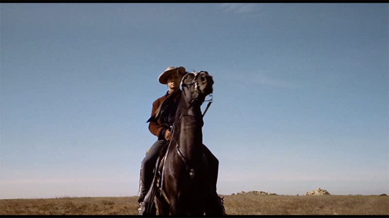 Out of the Past - Man on horse-back with blue sky behind in a field of brown grass