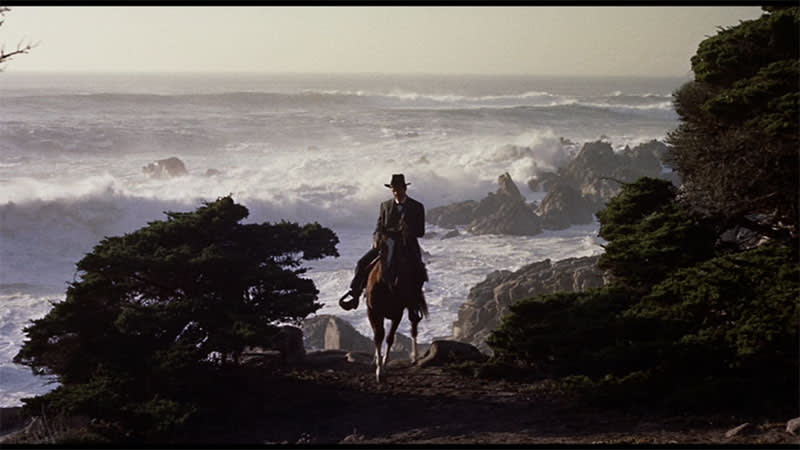 Showpony Sheriff - Man on horse-back beside tree with ocean waves crashing on rocks in the background