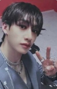 Bang Chan's  Photocard