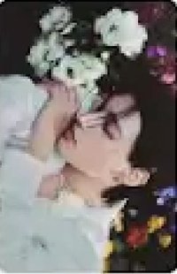 Wooyoung's  Photocard