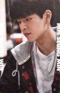 Seungmin's  Photocard