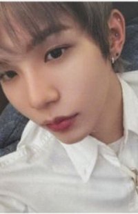 Shotaro's  Photocard