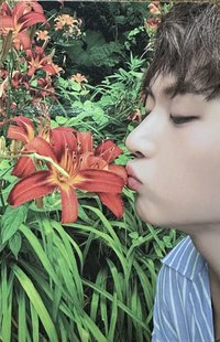 Matthew's Romance Photocard