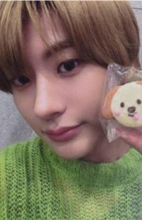 Anton's Travel Bag Set 2 Photocard