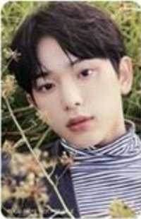 Harua's Solo Jacket B Photocard