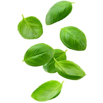 Fresh Cut Basil 25 - 30g