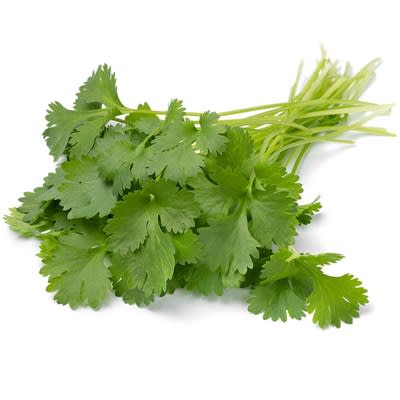 Fresh Cut Coriander 26 - 30g