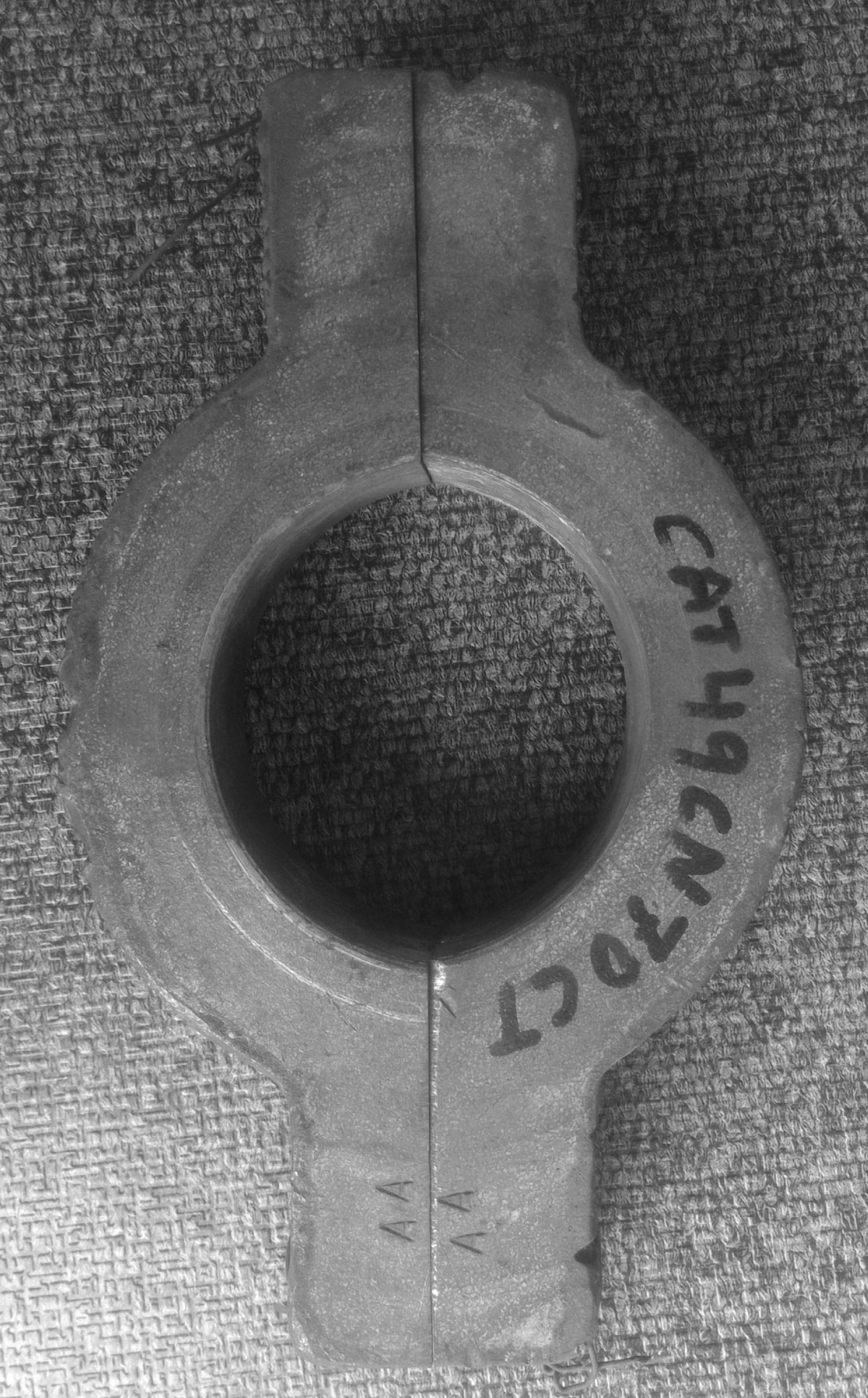 S.P. Chucknut