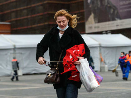 «Жёлтый» уровень погодной опасности из-за сильного ветра объявлен в Московском регионе до 25 ноября