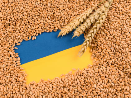 РИА Новости: Украина продолжает сокращать поставки зерна на мировые рынки