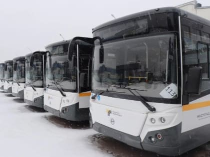 В Павловском Посаде во время Крещенских купаний введены дополнительные рейсы