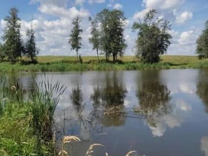 Суд при поддержке Минэкологии вернет земли Домодедова из незаконного пользования