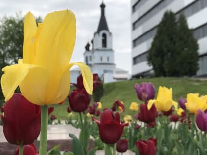 В Москве ожидается гроза и до +25 градусов