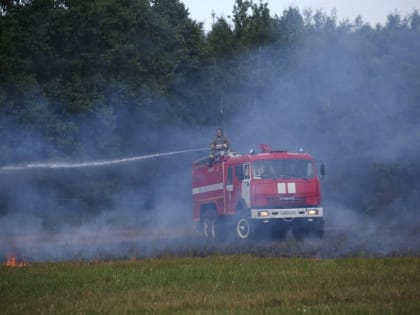 Жаркая погода в не принесла лесных пожаров в Подмосковье на прошлой неделе