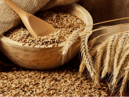 Эксперт Терновский оценил перспективы поставок российского зерна на рынки Азии и Африки