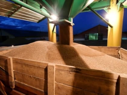 Российский МИД подтвердил продление зерновой сделки