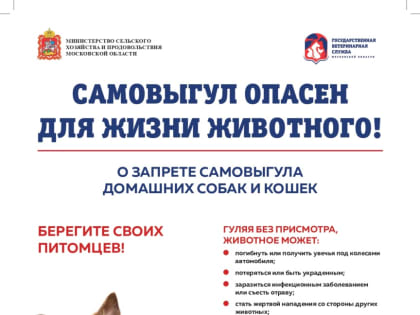 О программе регулирования численности собак без владельцев