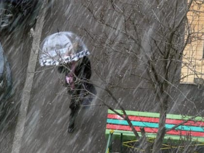 Мокрый снег ожидают в Подмосковье в самый холодный день недели